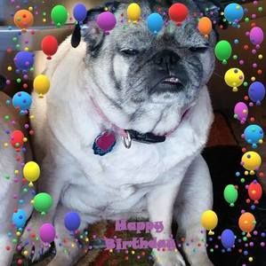 Meet your Posher, Sue